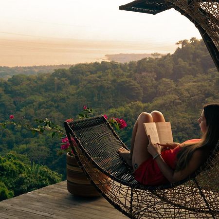 Paraiso Ahimsa بوريتاكا المظهر الخارجي الصورة